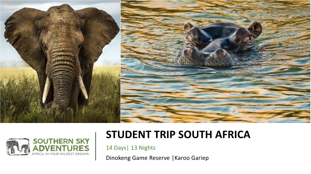 STUDENT TRIP SOUTH AFRICA 14 Days| 13 Nights Dinokeng Game Reserve |Karoo Gariep DINOKENG GAME RESERVE