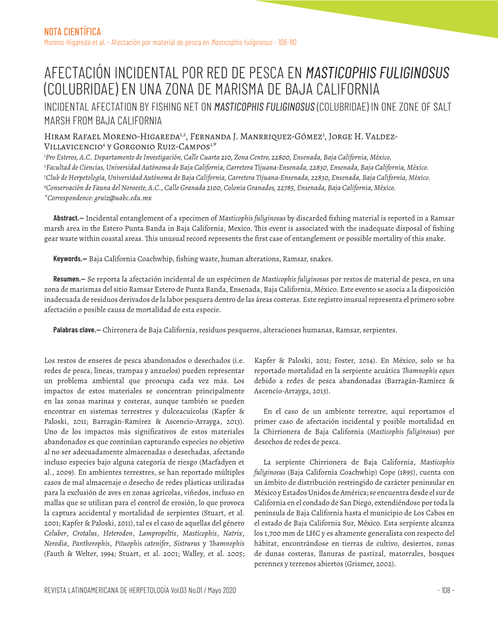 Afectación Incidental Por Red De Pesca En Masticophis Fuliginosus