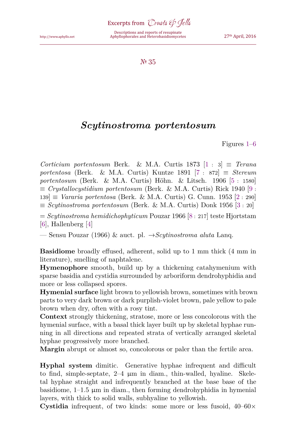 Scytinostroma Portentosum