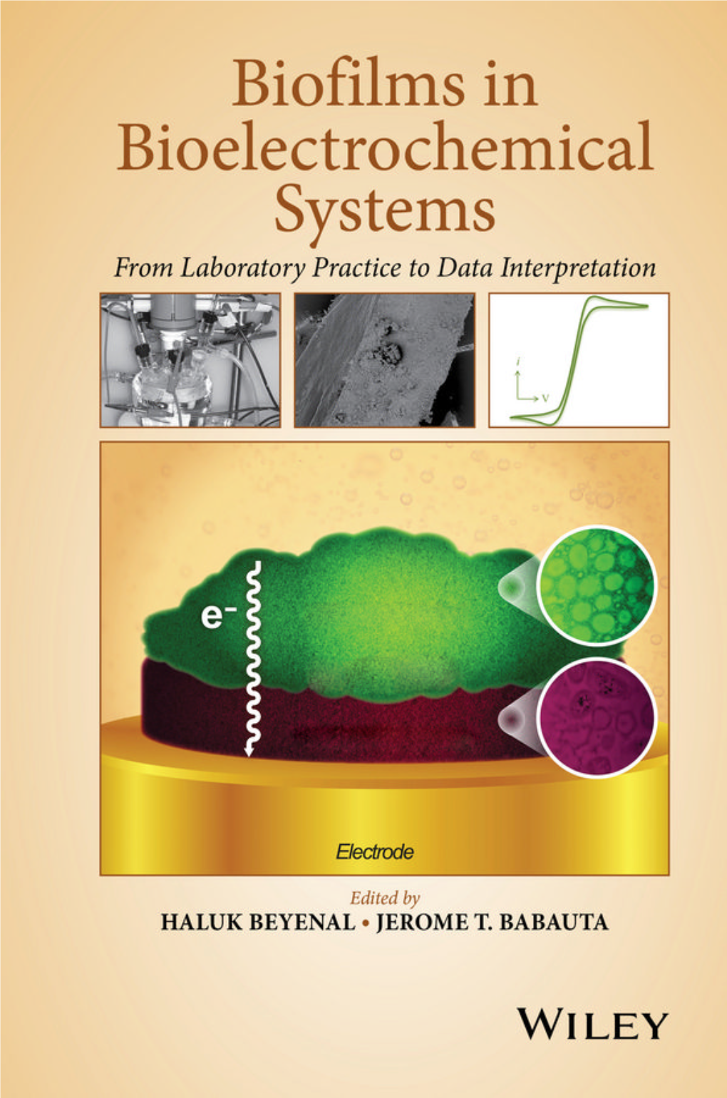 Biofilms in Bioelectrochemical Systems