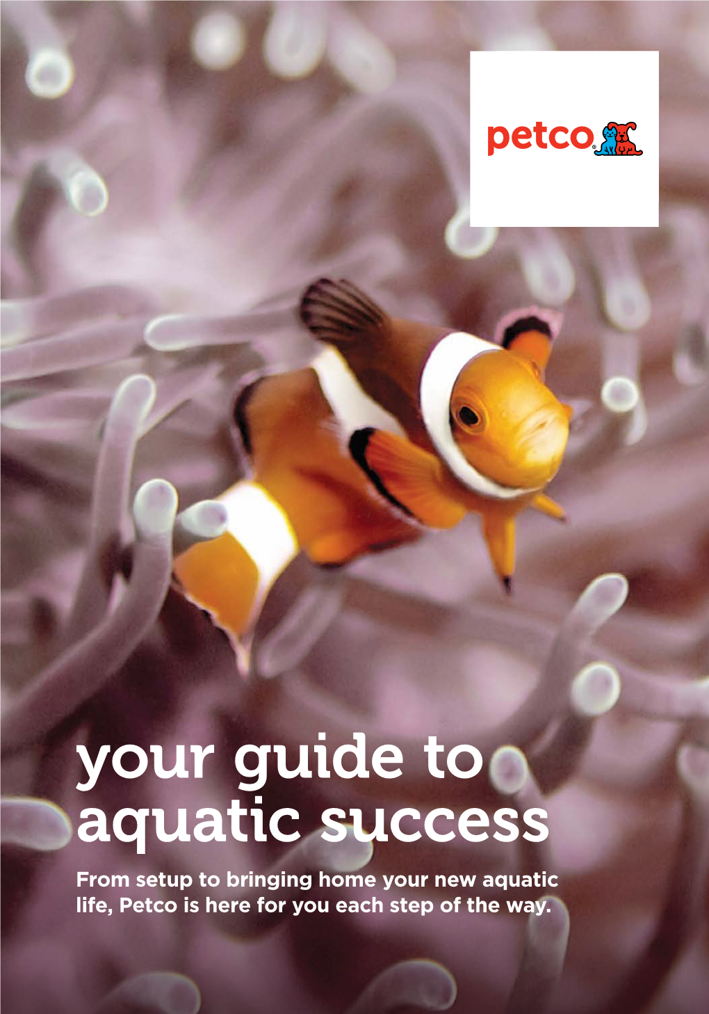 Your Guide to Aquatic Success from Setup to Bringing Home Your New Aquatic Life, Petco Is Here for You Each Step of the Way