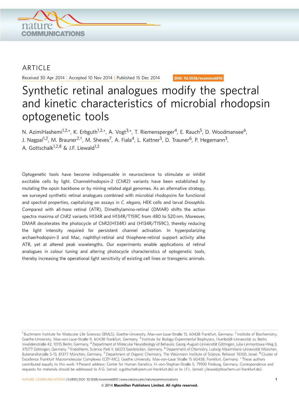 Synthetic Retinal Analogues Modify the Spectral and Kinetic Characteristics of Microbial Rhodopsin Optogenetic Tools