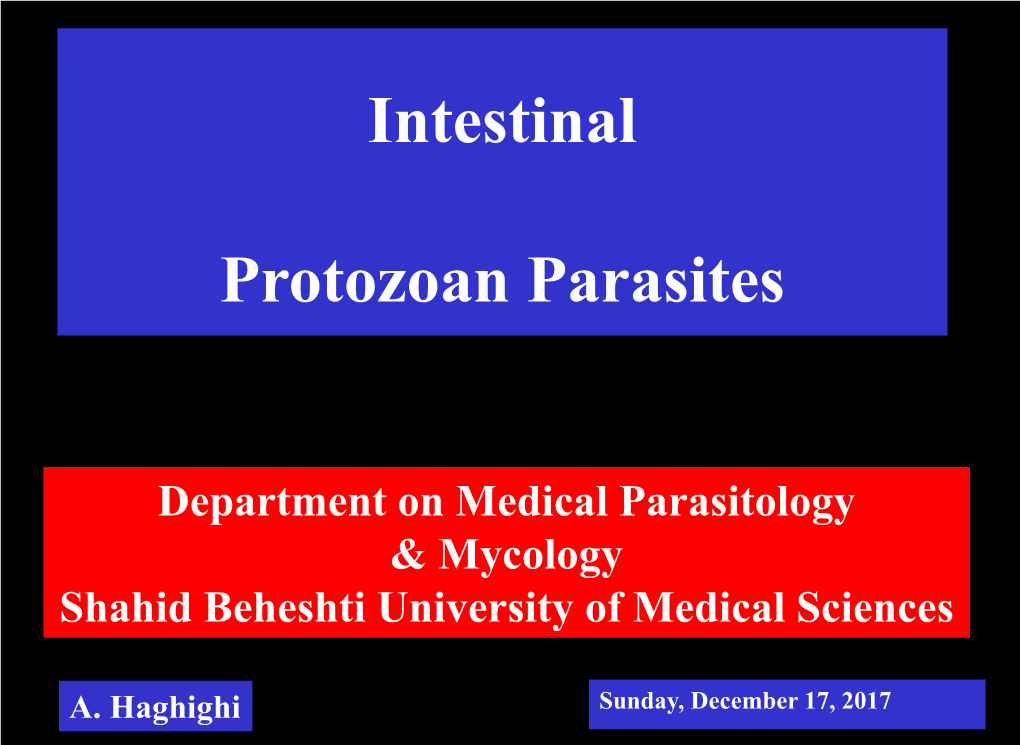 Intestinal Protozoan Parasites