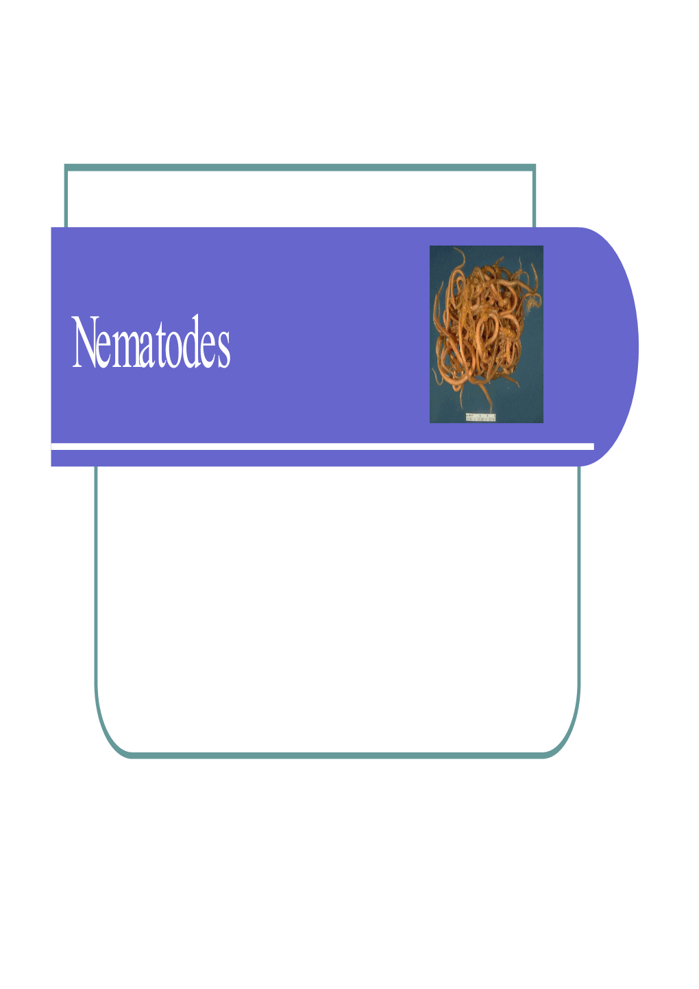 23 Intestinal Nematodes