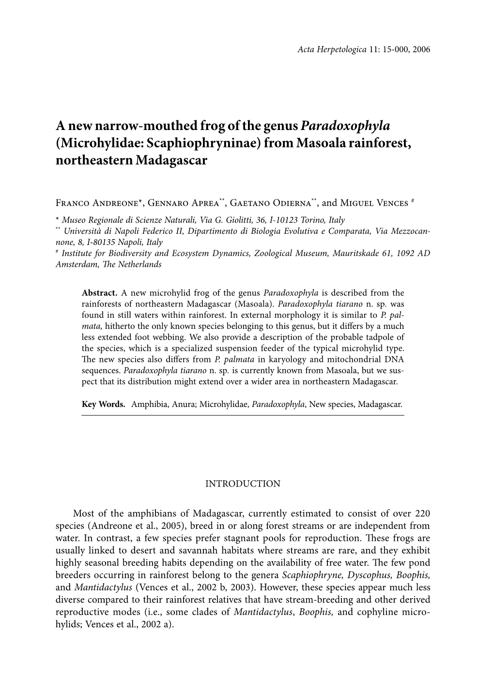 A New Narrow-Mouthed Frog of the Genus Paradoxophyla (Microhylidae: Scaphiophryninae) from Masoala Rainforest, Northeastern Madagascar