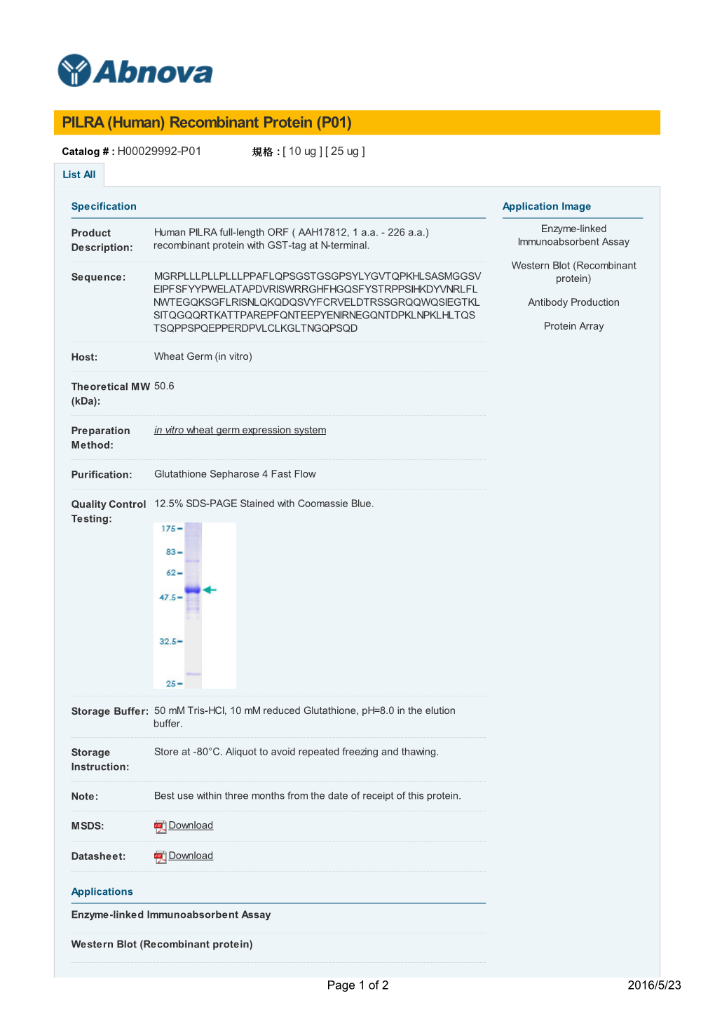 PILRA (Human) Recombinant Protein (P01)