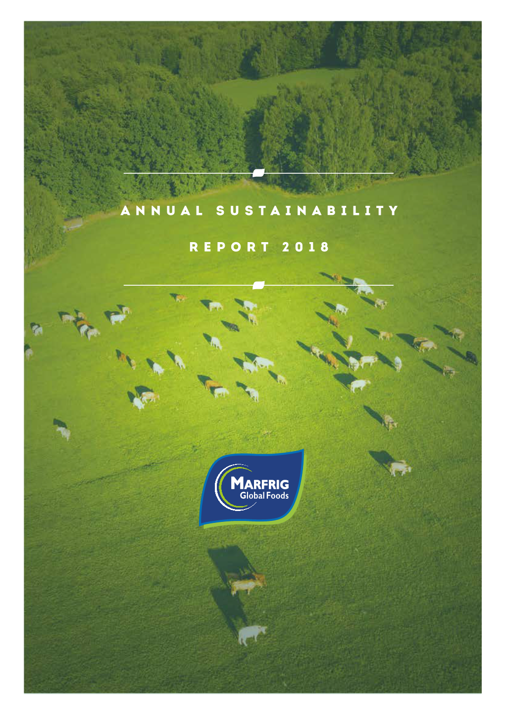 Annual Sustainability Report 2018