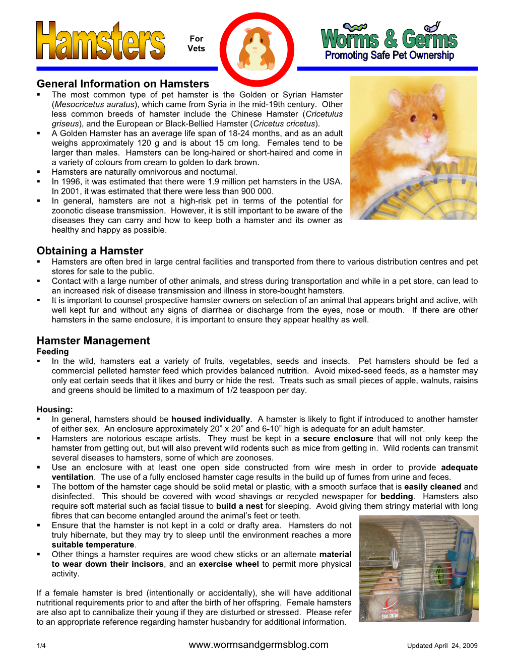 General Information on Hamsters