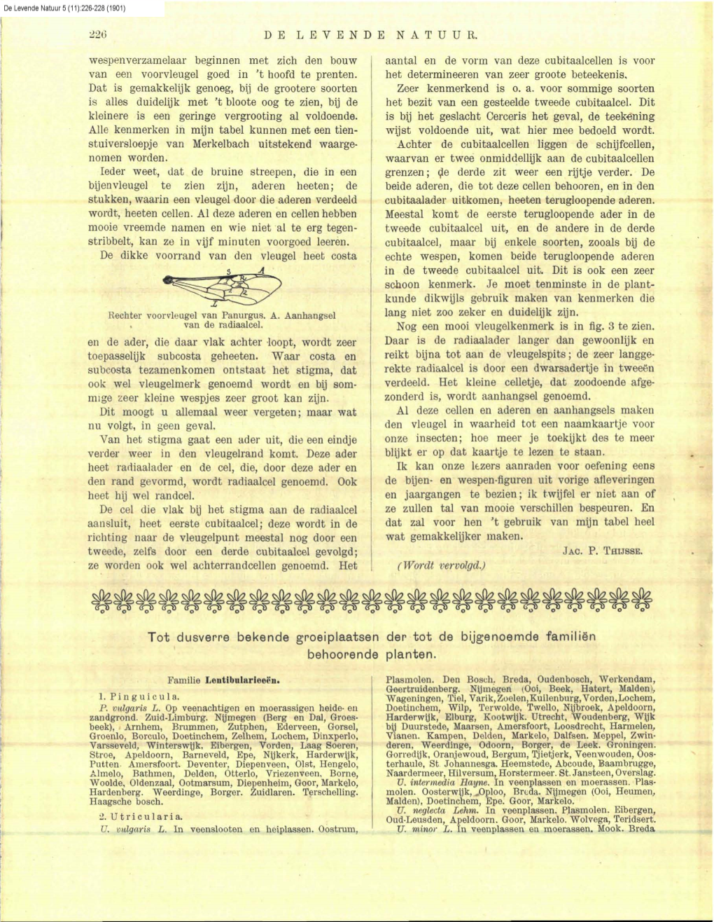 Heukels, H. (1901) Tot Dusverre Bekende Groeiplaatsen Der Tot De Bijgenoemde Familien Behoorende Planten. DLN 5: 226-228