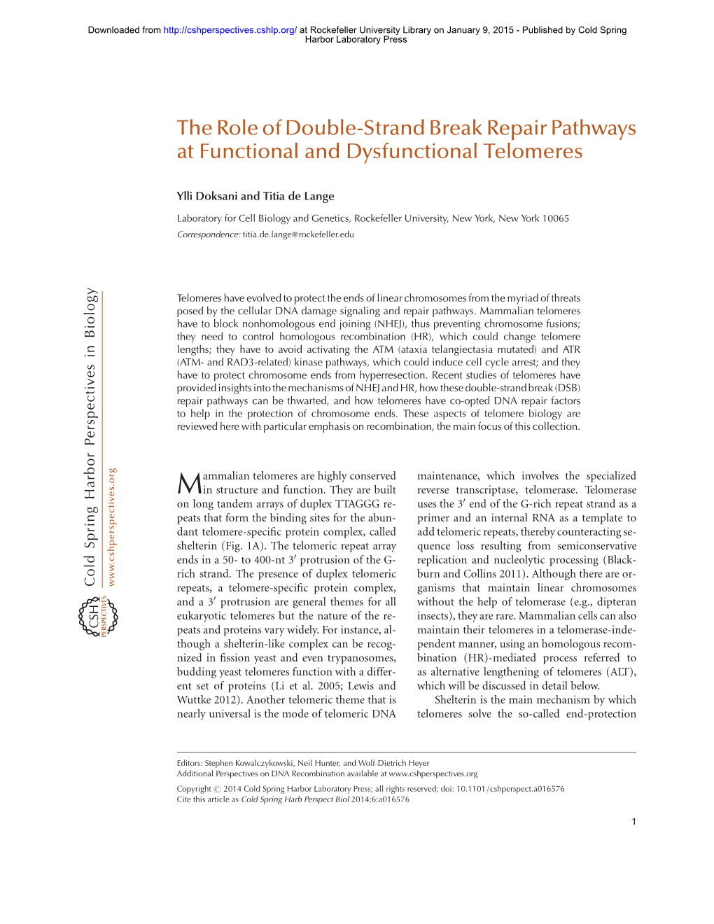 The Role of Double-Strand Break Repair Pathways at Functional and Dysfunctional Telomeres