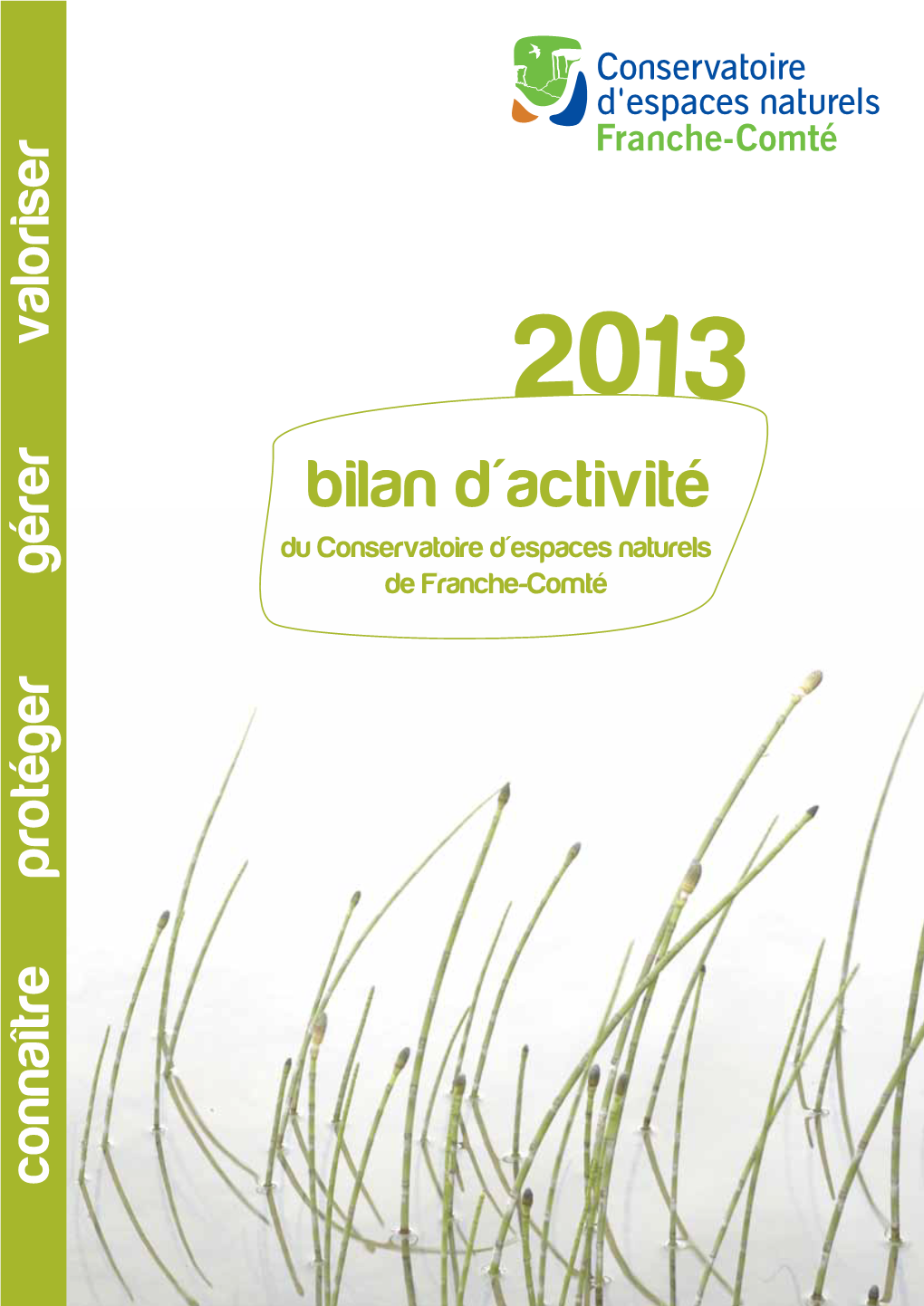 Bilan D'activité 2013 Du