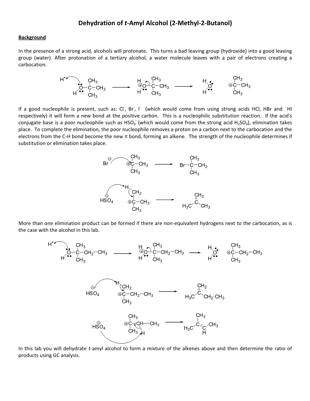 Dehydration of T-Amyl Alcohol (2-Methyl-2-Butanol)