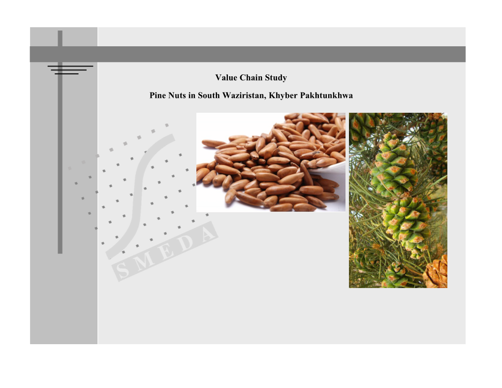 Value Chain Study Pine Nuts in South Waziristan, Khyber Pakhtunkhwa