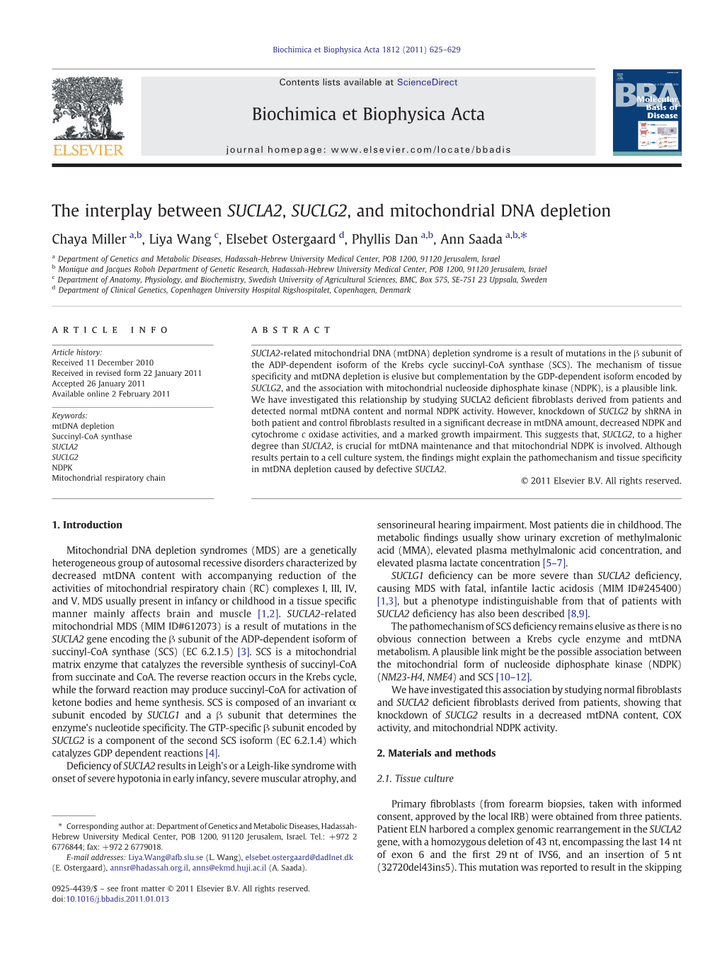 The Interplay Between SUCLA2, SUCLG2, and Mitochondrial DNA Depletion