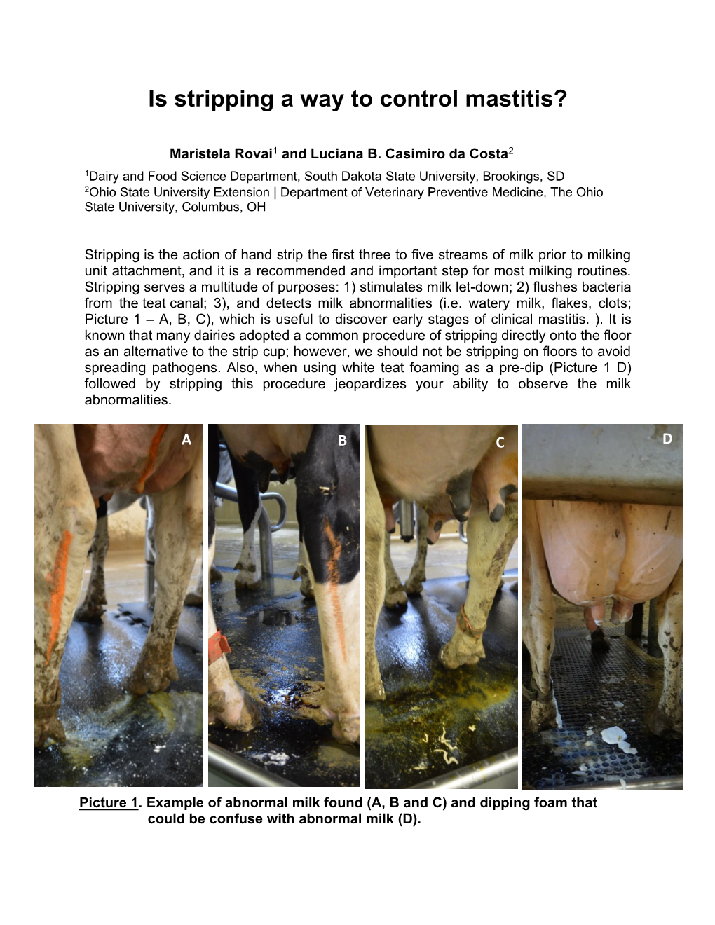 Is Stripping a Way to Control Mastitis?