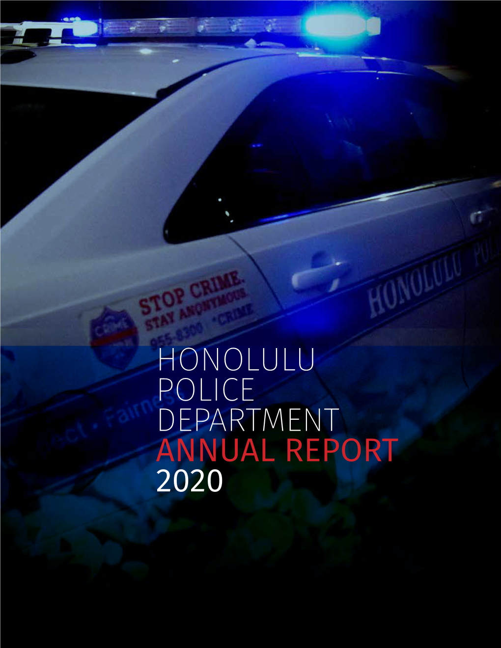 The 2020 Annual Report