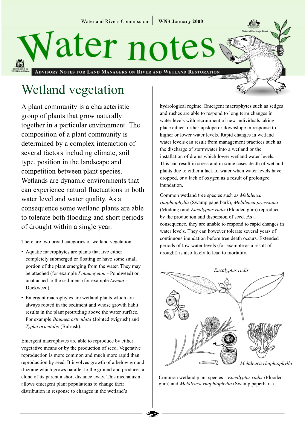 Wetland Vegetation