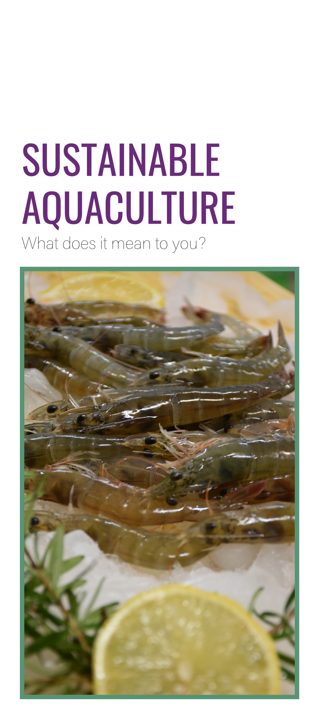 SUSTAINABLE AQUACULTURE What Does It Mean to You? WHAT IS AQUACULTURE? Aquaculture Is the Farming of Aquatic Animals and Plants