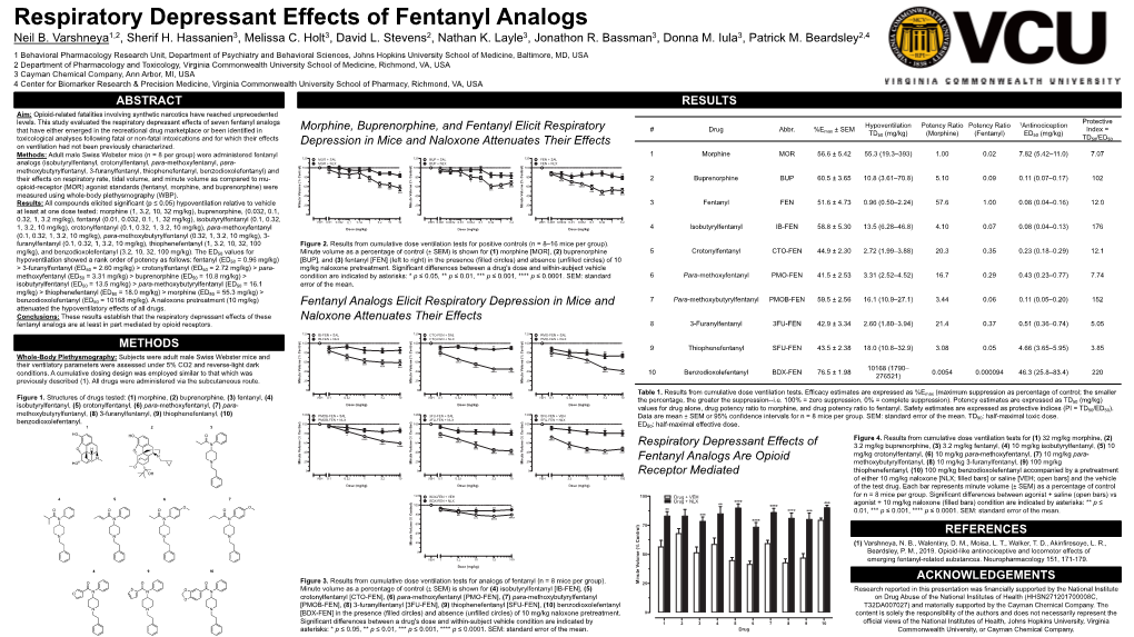 Respiratory Depressant Effects of Fentanyl Analogs