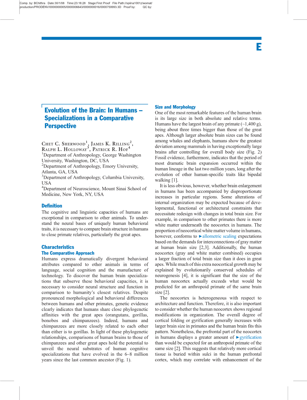 Evolution of the Brain: in Humans – Specializations in a Comparative Perspective