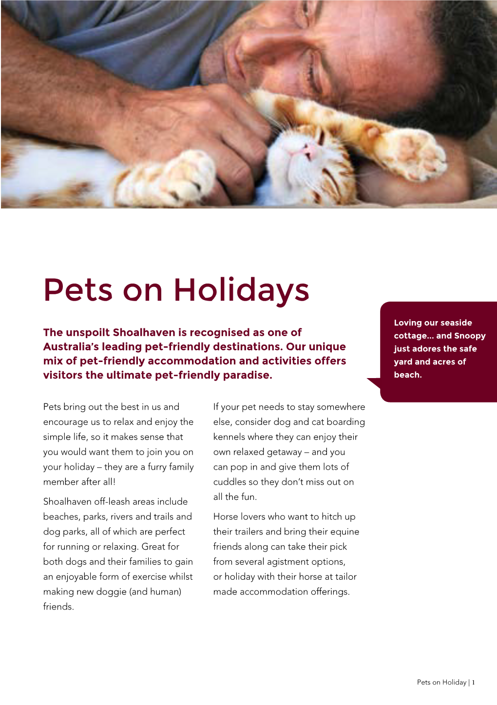Pets on Holidays