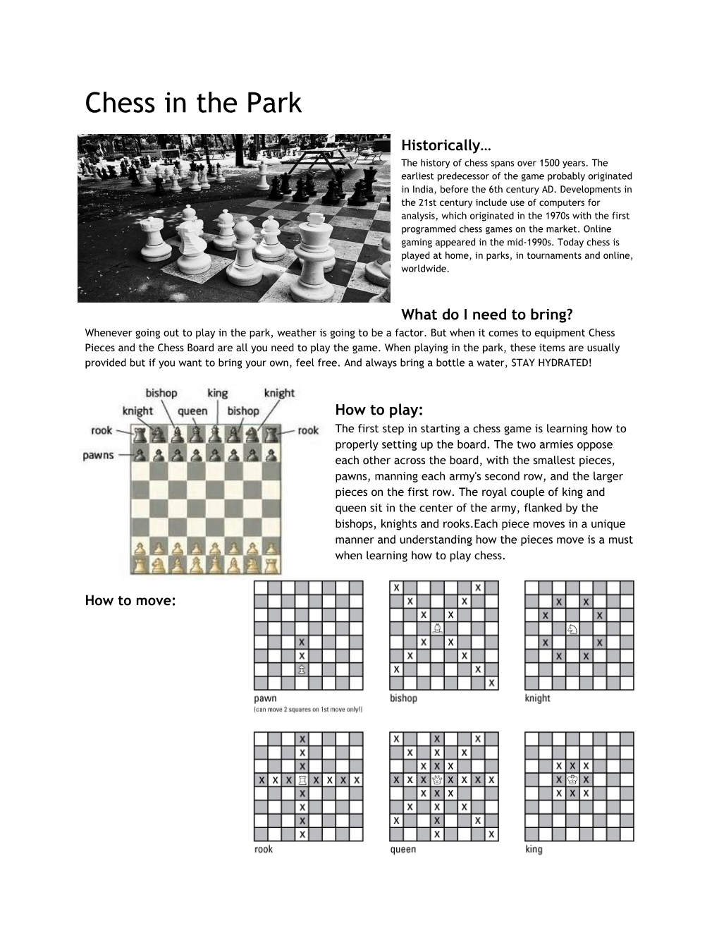 Chess in the Park