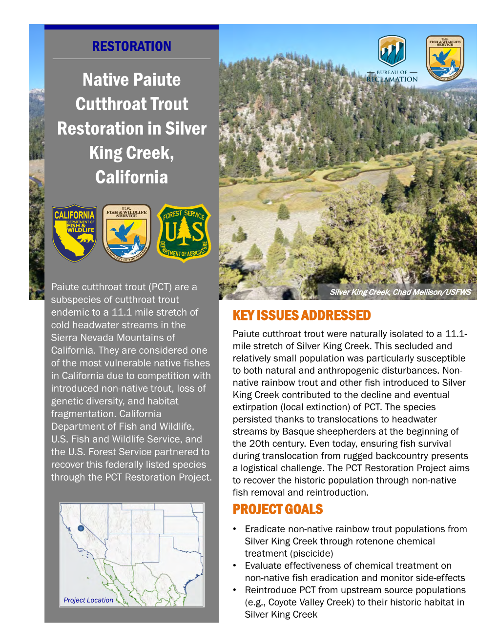 Native Paiute Cutthroat Trout Restoration in Silver King Creek.Pdf