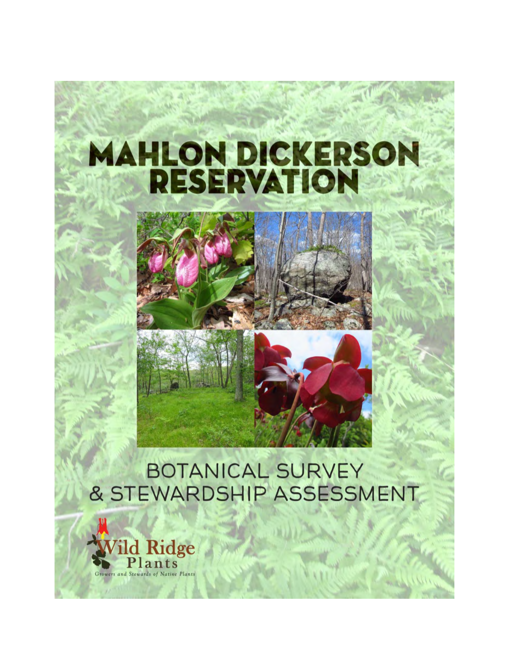 Botanical Survey & Stewardship Assessment