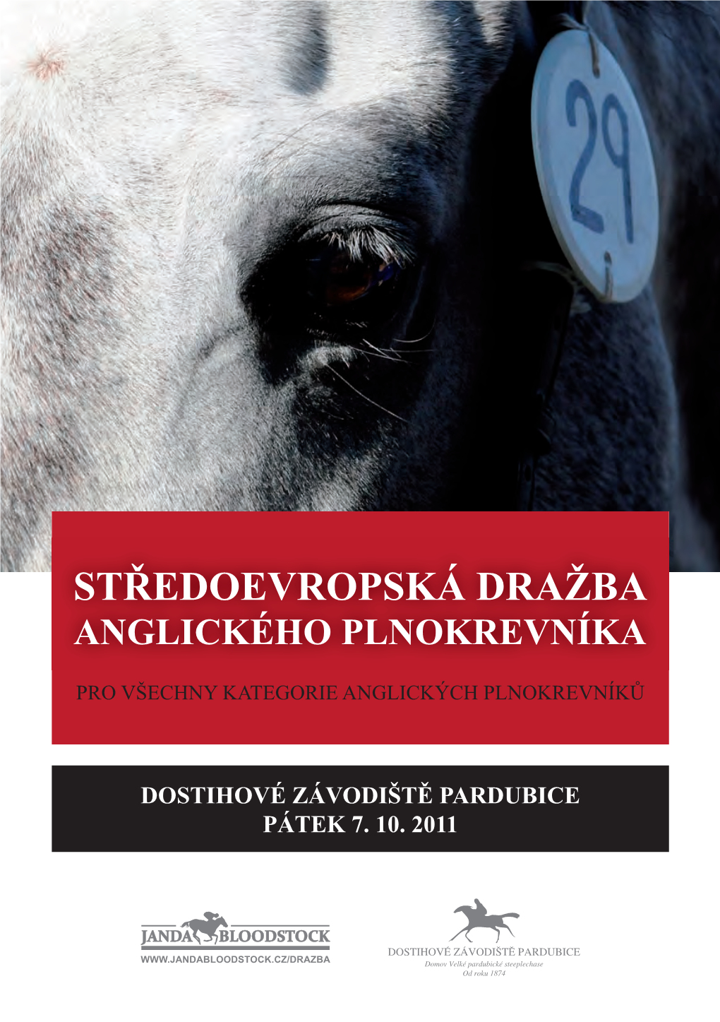 Dražební Katalog 2011