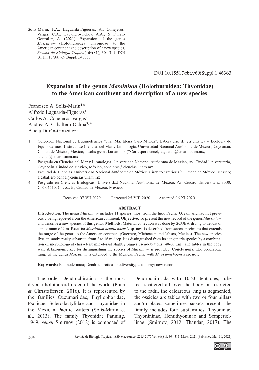 Expansion of the Genus Massinium (Holothuroidea: Thyonidae) to the American Continent and Description of a New Species