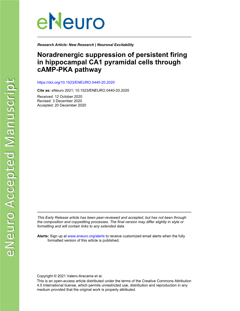 Noradrenergic Suppression of Persistent Firing in Hippocampal CA1 Pyramidal Cells Through Camp-PKA Pathway