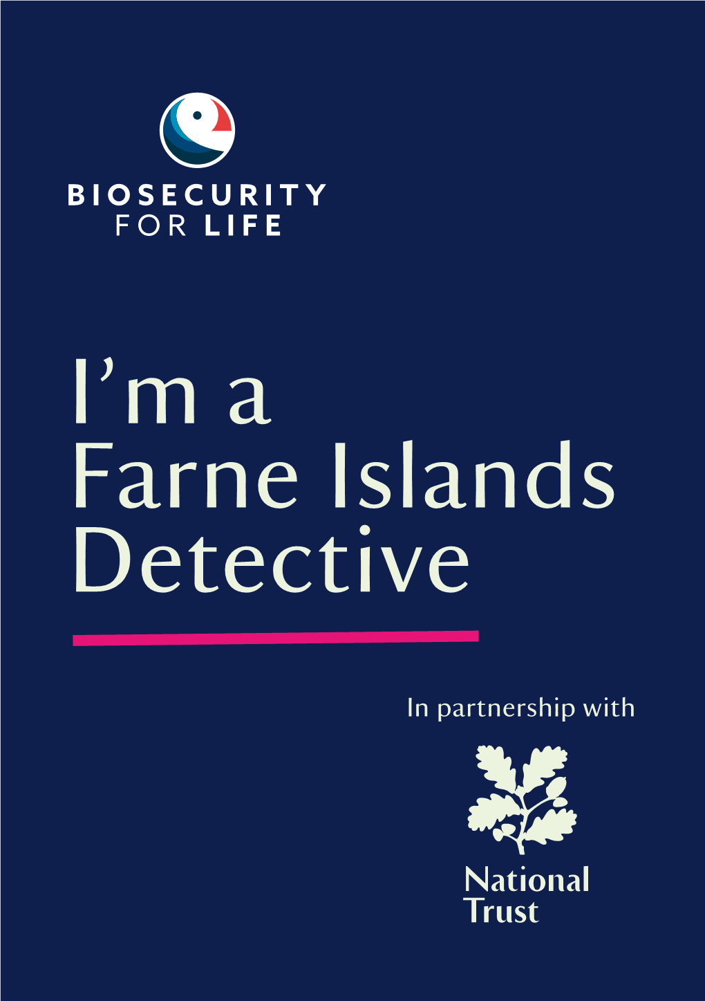 Farne Islands Detective