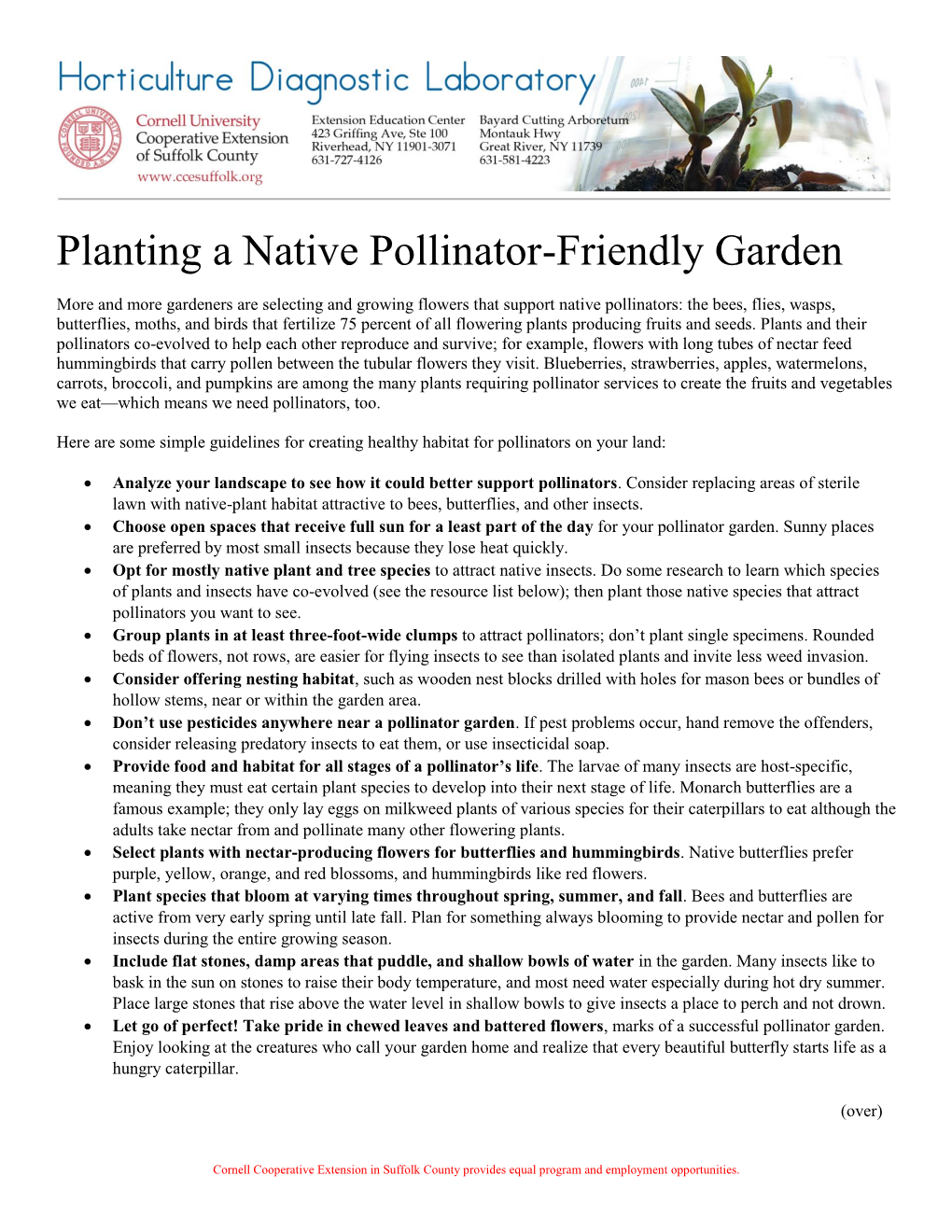 Planting a Native Pollinator-Friendly Garden