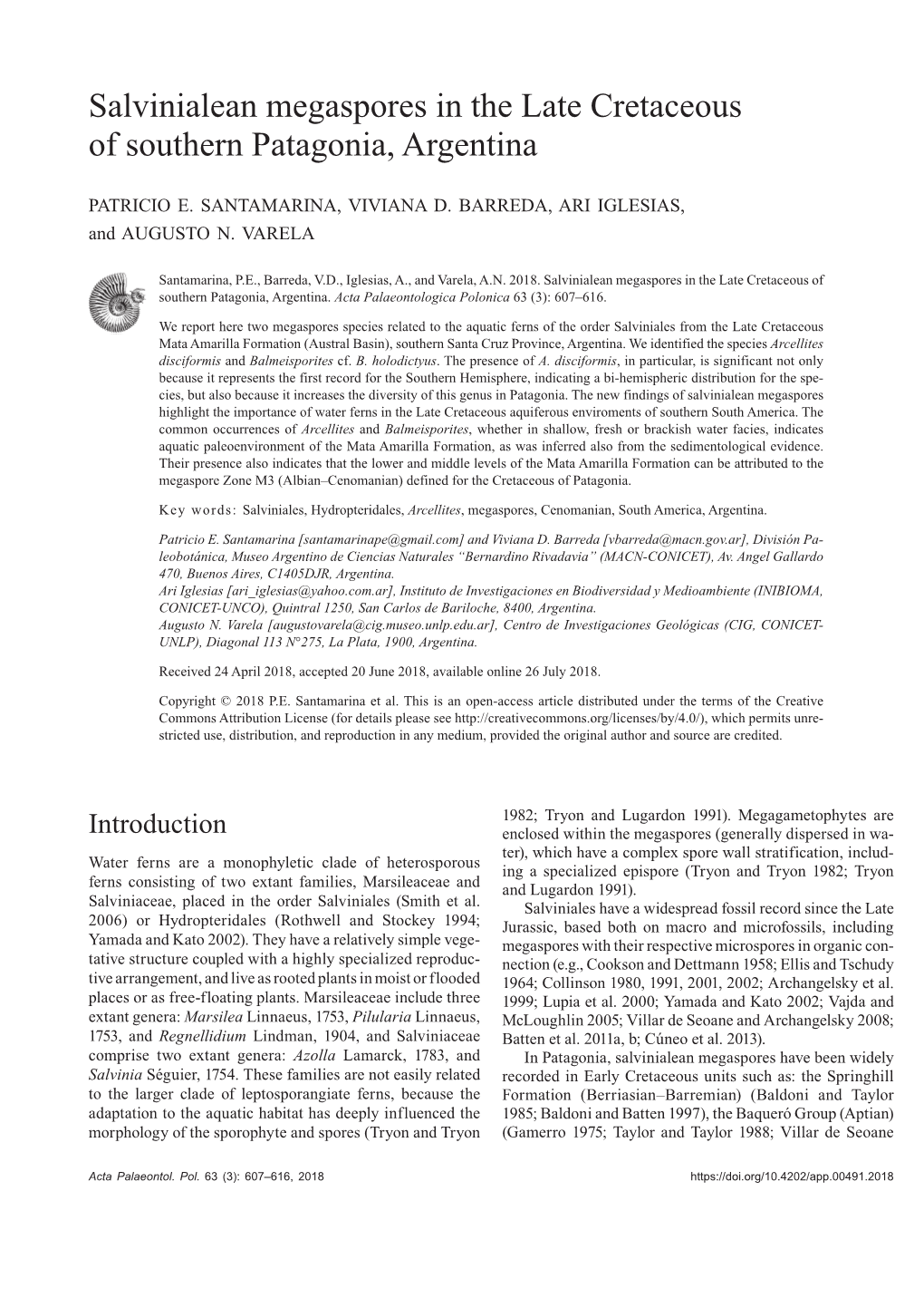 Salvinialean Megaspores in the Late Cretaceous of Southern Patagonia, Argentina