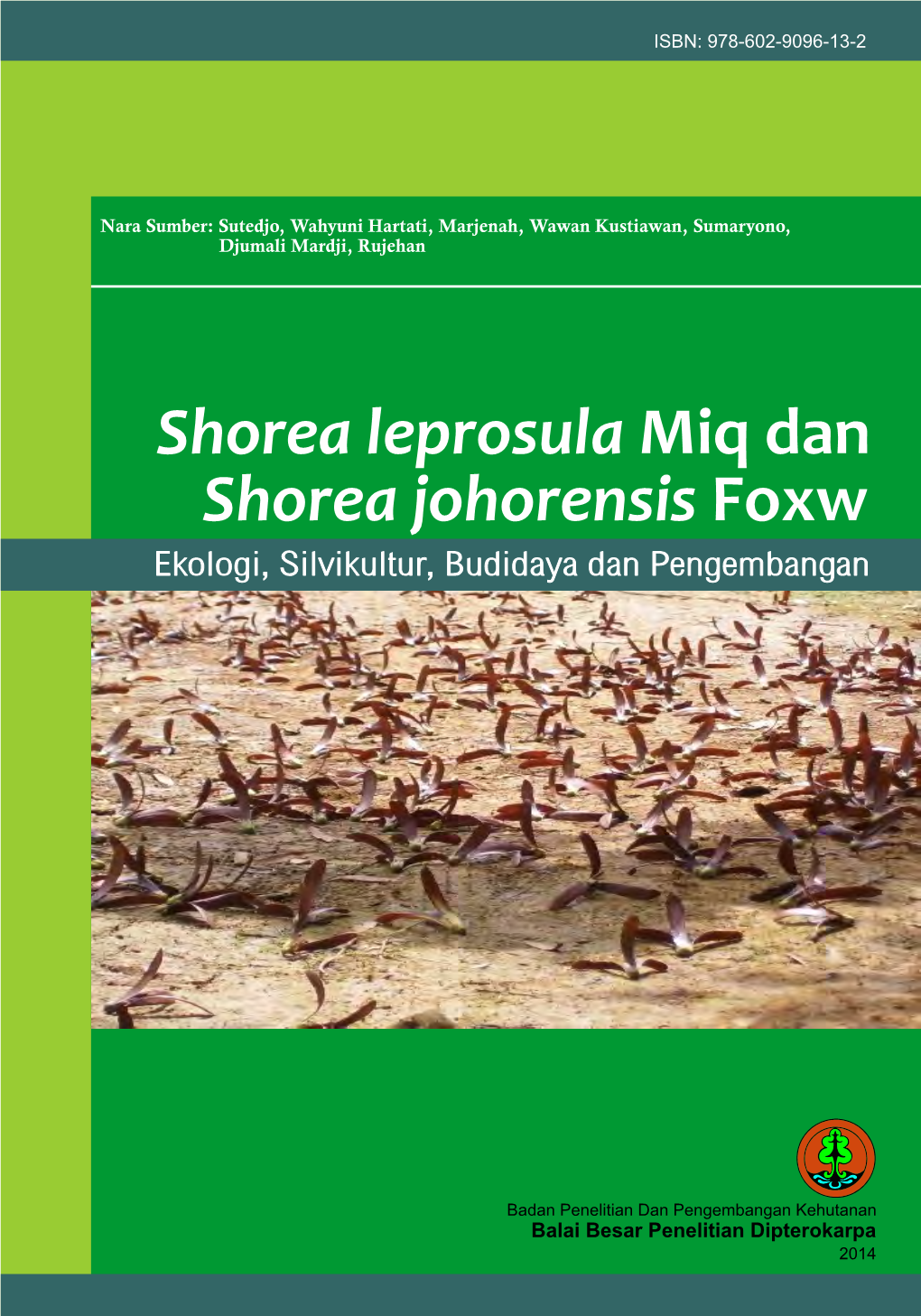 Shorea Johorensis Foxw Shorea Leprosula Miq