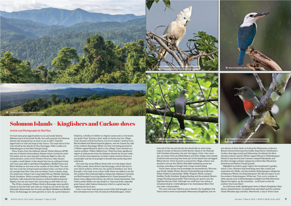 Bird NZ Magazine 17 Mar 2018