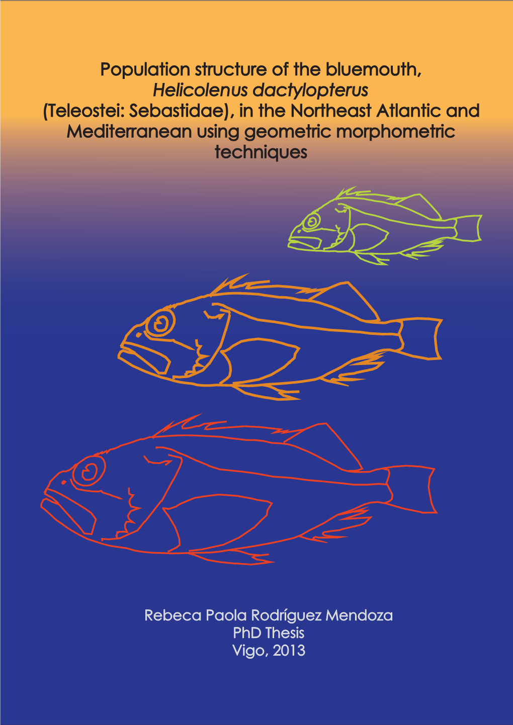 Population Structure of the Bluemouth, Helicolenus Dactylopterus