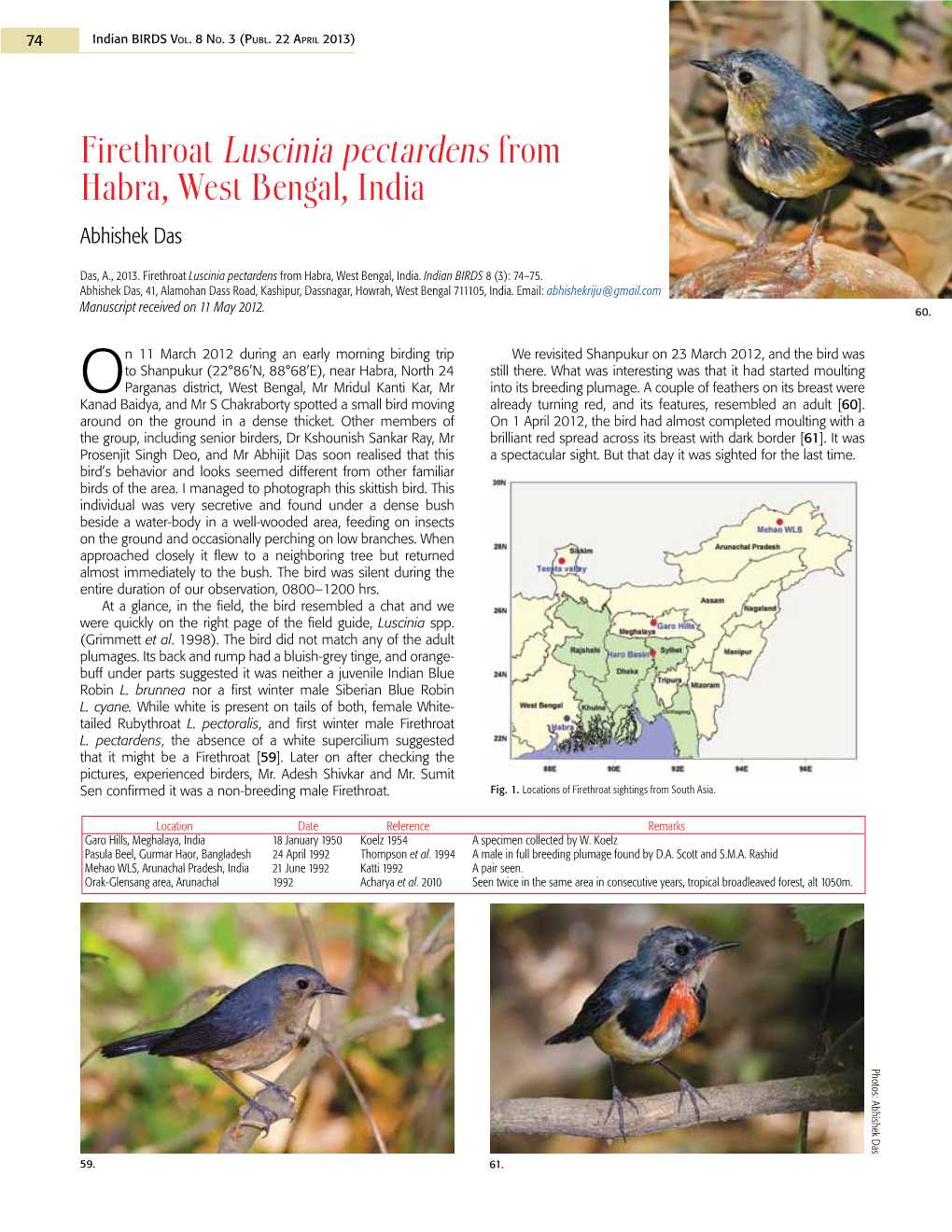 Firethroat Luscinia Pectardens from Habra, West Bengal, India Abhishek Das