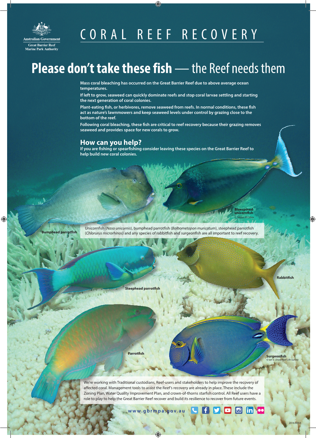 CORAL REEF RECOVERY Please Don't Take These Fish —The Reef