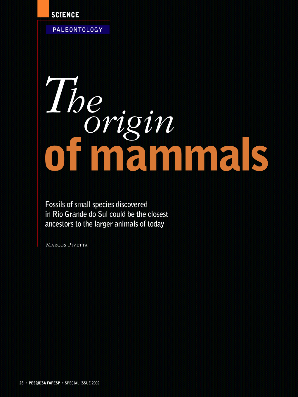 Fossils of Small Species Discovered in Rio Grande Do Sul Could Be the Closest Ancestors to the Larger Animals of Today