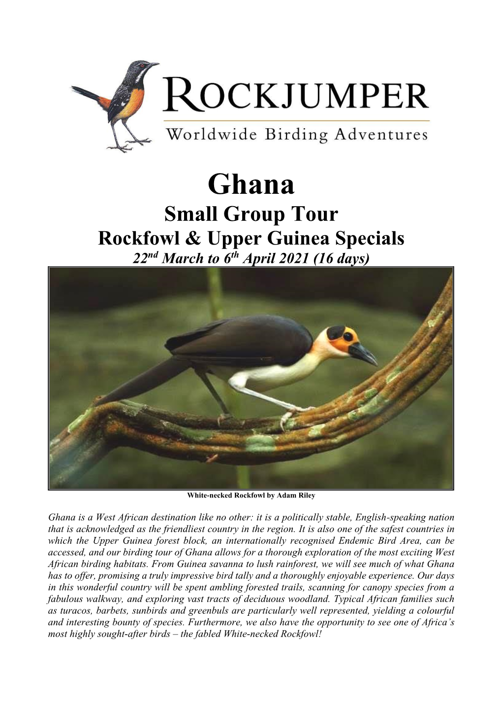 Ghana Small Group Tour Rockfowl & Upper Guinea Specials 22Nd March to 6Th April 2021 (16 Days)