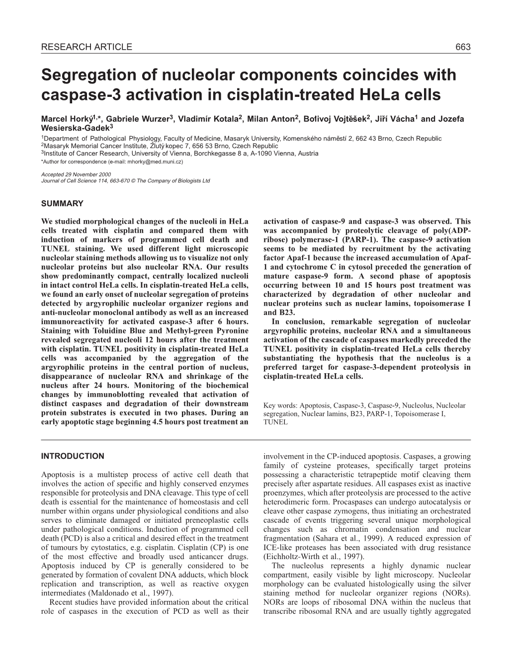 Segregation of Nucleolar Components Coincides with Caspase-3 Activation in Cisplatin-Treated Hela Cells