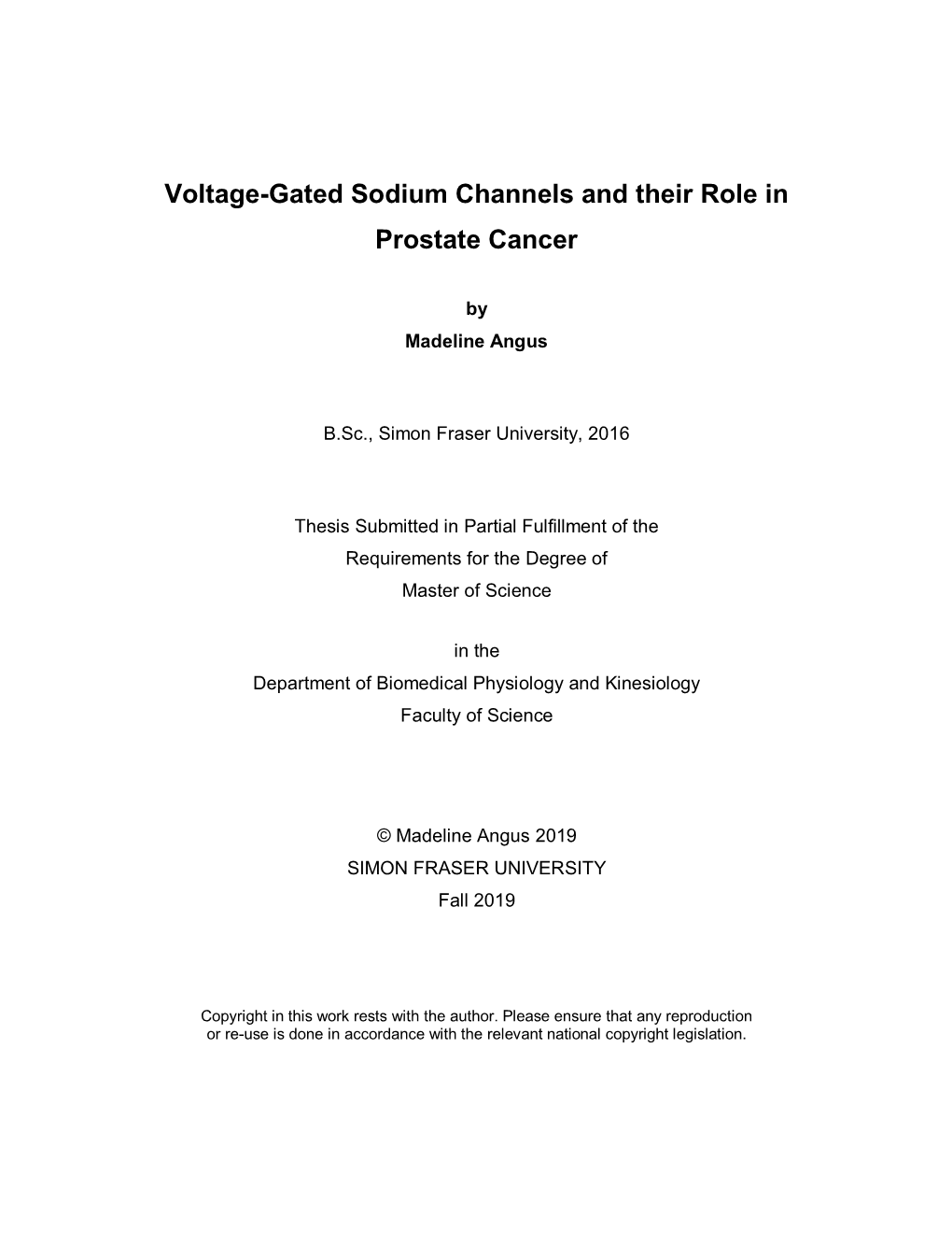 Non-Canonical Functions of Voltage-Gated Sodium Channels