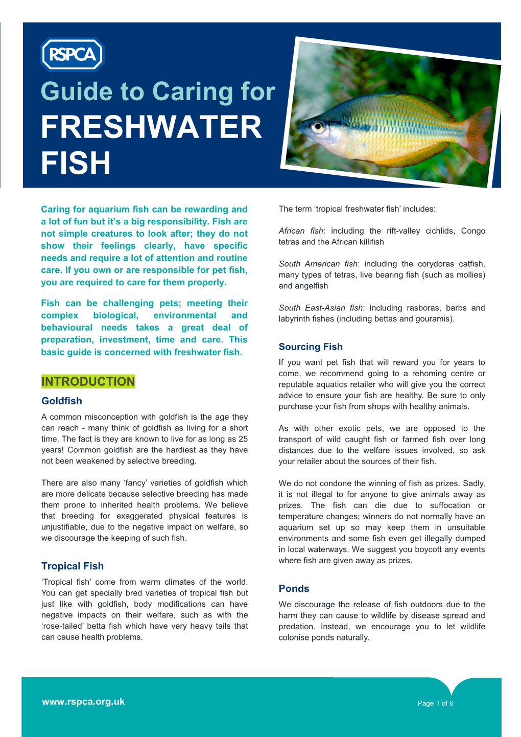 Guide to Caring for FRESHWATER FISH