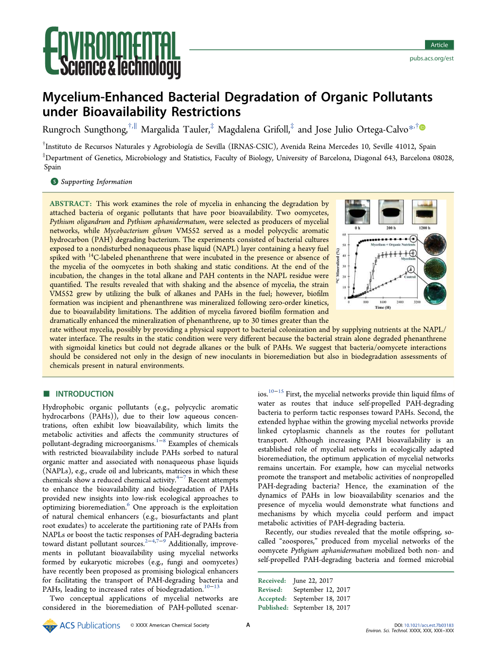 Mycelium-Enhanced Bacterial Degradation of Organic Pollutants