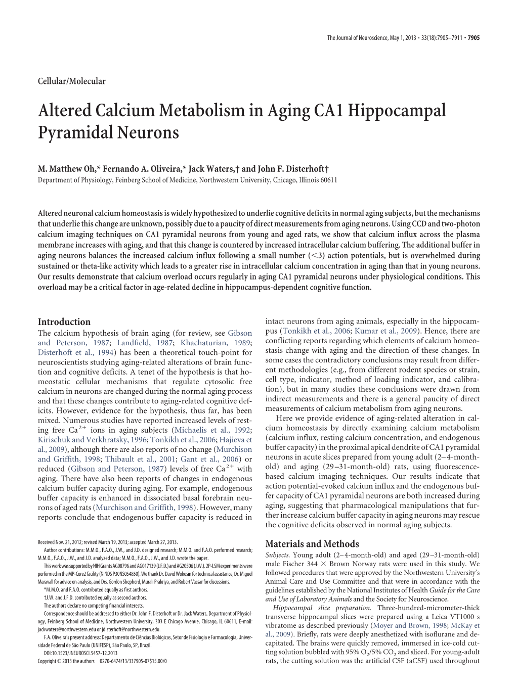 Altered Calcium Metabolism in Aging CA1 Hippocampal Pyramidal Neurons