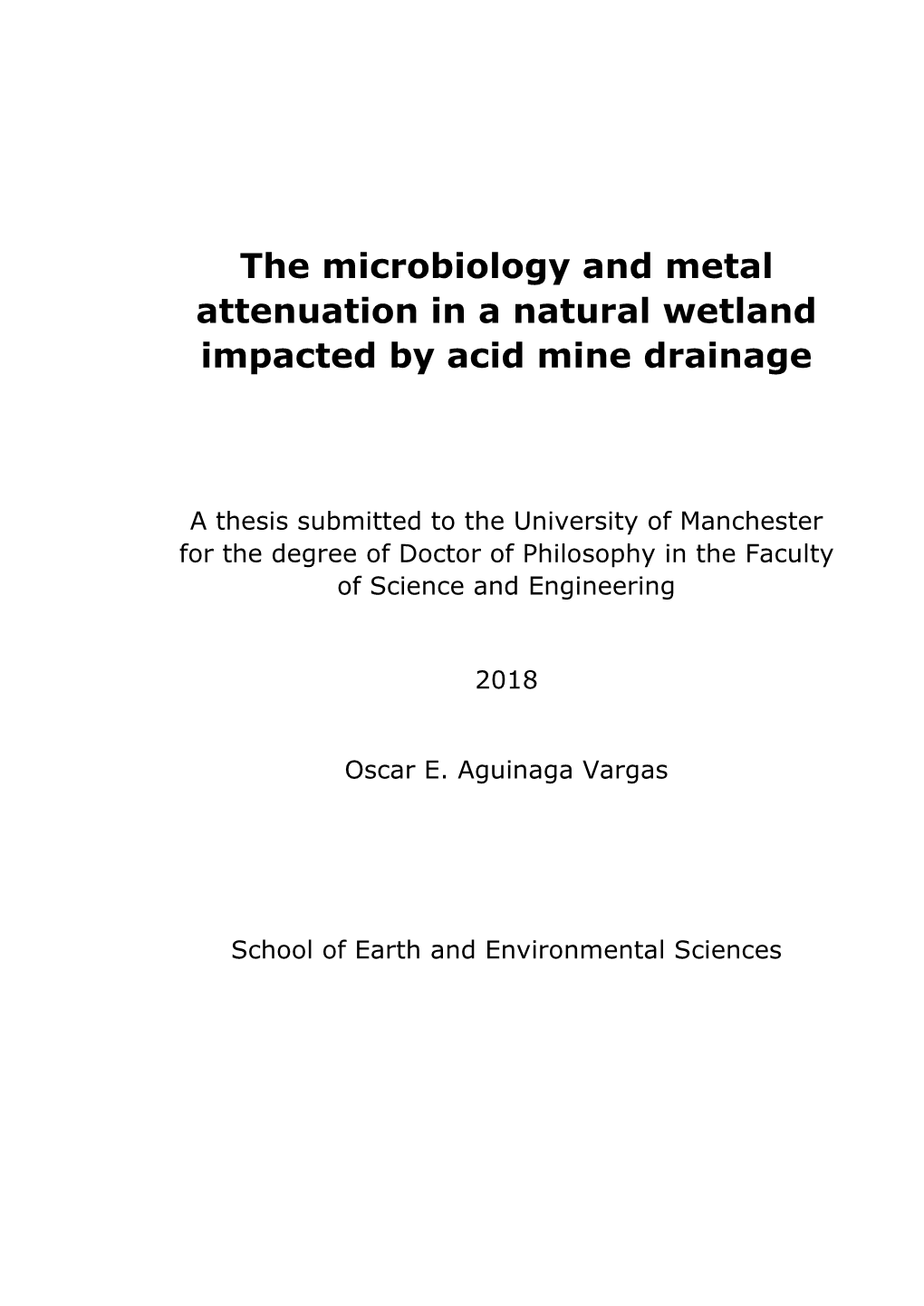 The Microbiology and Metal Attenuation in a Natural Wetland Impacted by Acid Mine Drainage