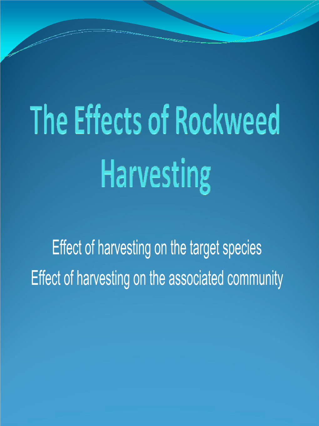 The Effects of Rockweed Harvesting