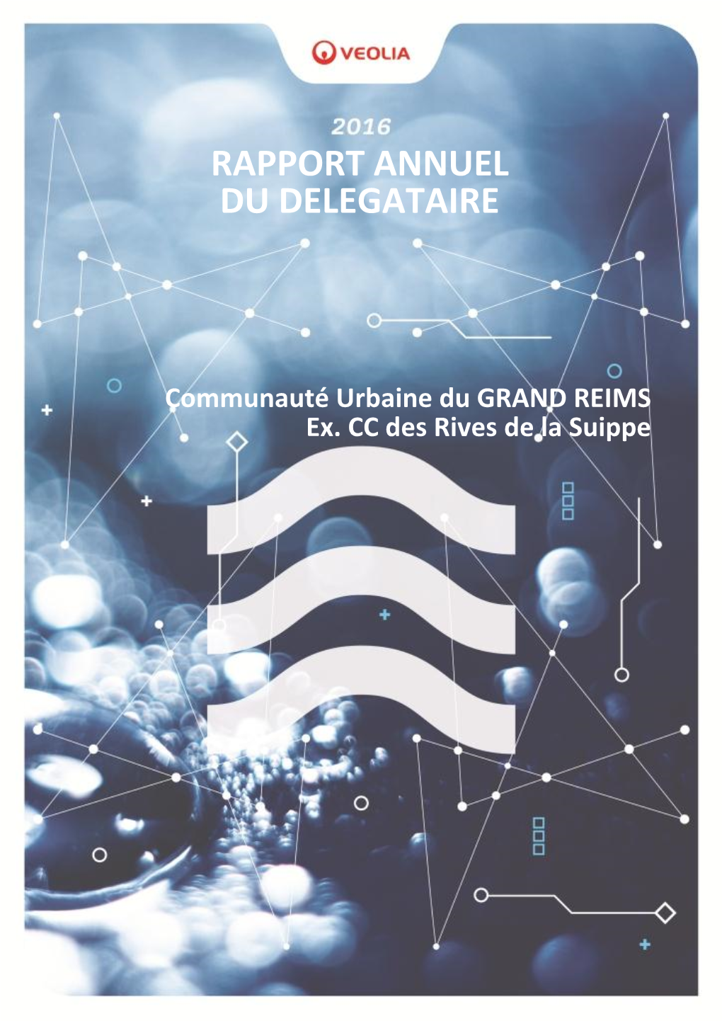 Rapport Annuel Du Delegataire