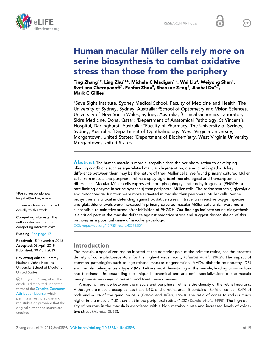 Human Macular Mu¨ Ller Cells Rely More on Serine Biosynthesis To